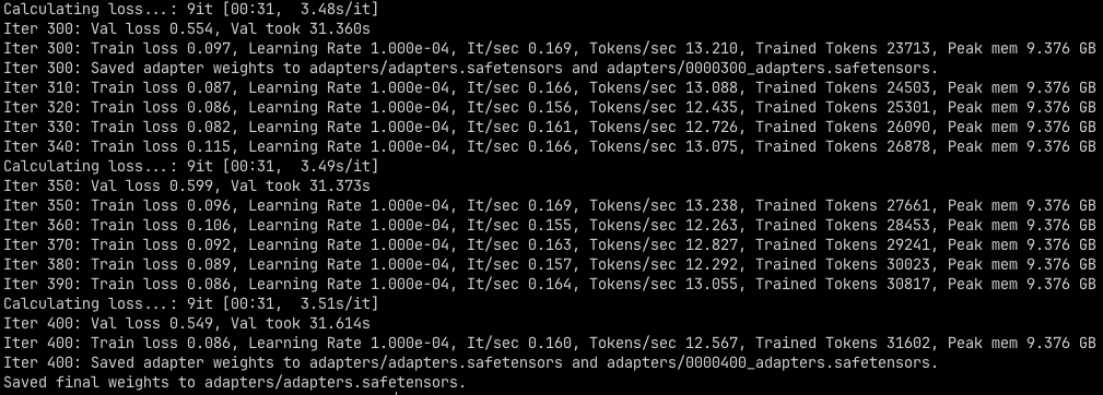 Terminal output showing iterations 300 to 400 and the final saved weights